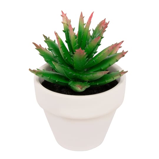 Dark Green Potted Micro Succulent by Ashland®